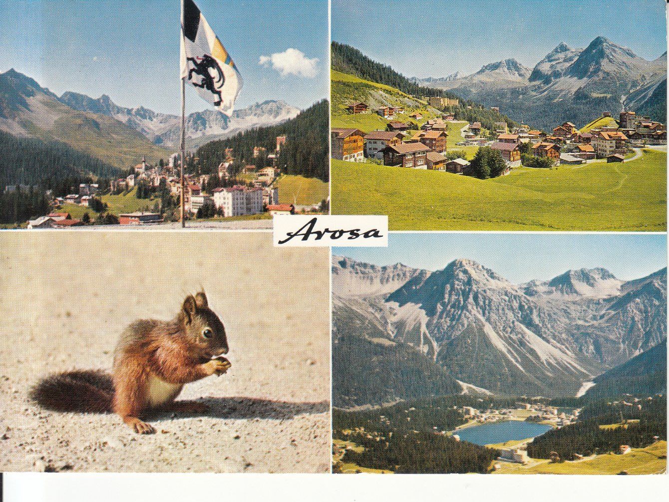 Cartoline postali: Arosa 1977 – Usato da Bürglen TG venduto da StampGraf