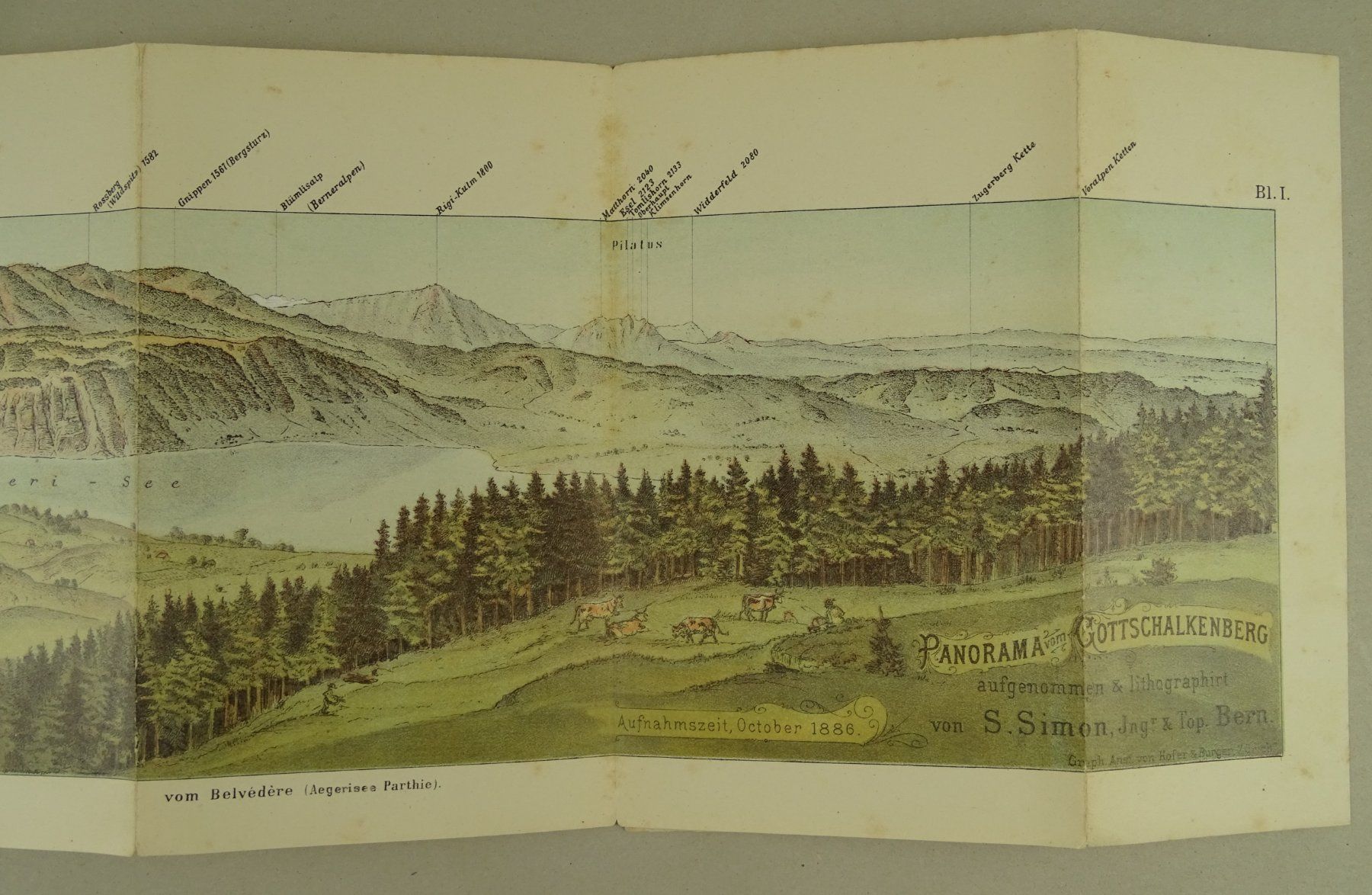 Libri: PANORAMA VOM GOTTSCHALKENBERG 1886 – Usato da Grüningen venduto da Kartensammler 4