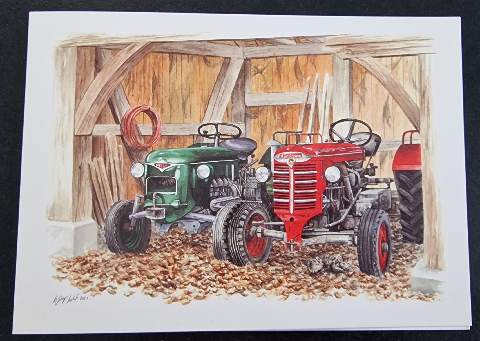 Cartoline: Kunstkarten 100 Stk. – Nuovo e nell'imballaggio originale da Flawil venduto da Linna12