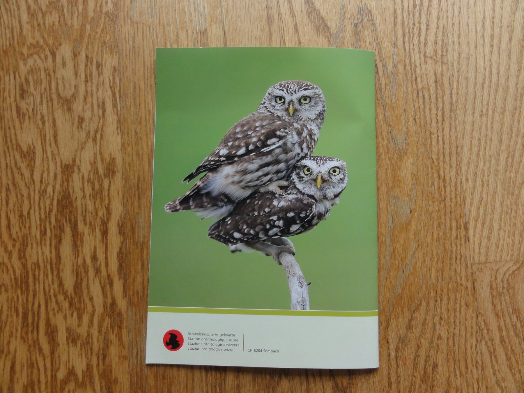 Libri: Die Vogelhochzeit – Nuovo (secondo la descrizione) da Riedholz venduto da Taweva 4