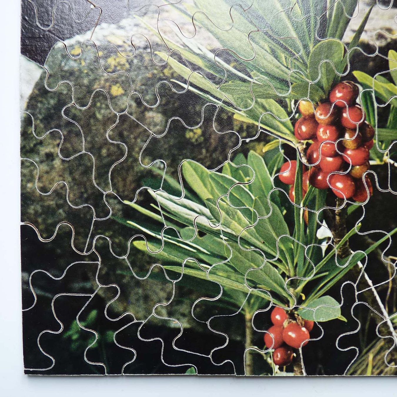 Puzzle: Puzzle Holz handgesägt Einzelstück Seidelbast – Nuovo (secondo la descrizione) da Brüttisellen venduto da Buxus 2