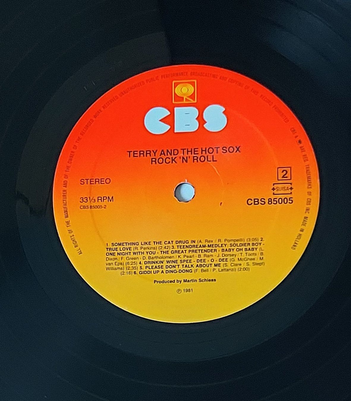 Dischi in vinile: LP - TERRY AND THE HOT SOX - ROCK 'N' ROLL – Usato da Steckborn venduto da Quo7 2