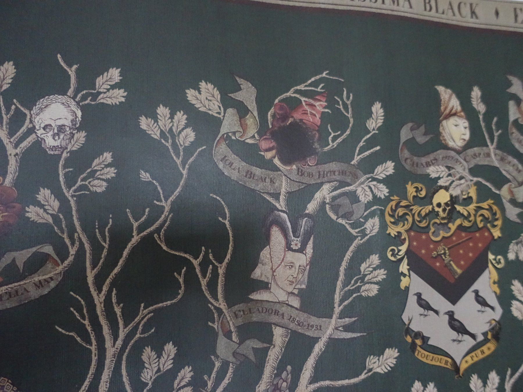 Foto & Immagini: Harry Potter Black Family Poster – Usato da Glattfelden venduto da tdlubek 3