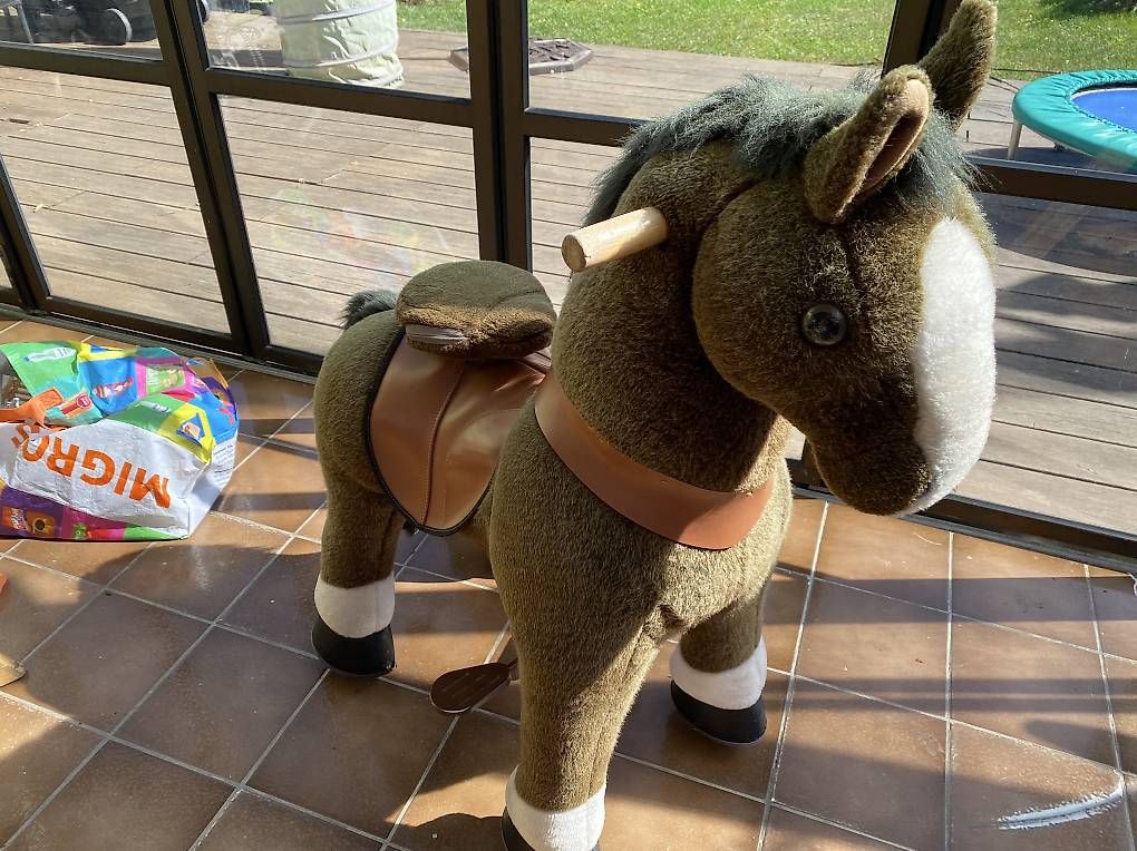 Veicoli per bambini: Pony Cycle – Usato da Zürich venduto da ton_tjj8 1