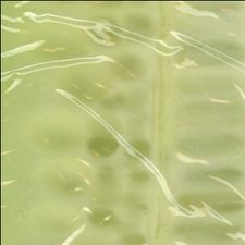 Profile image of elian_rosch