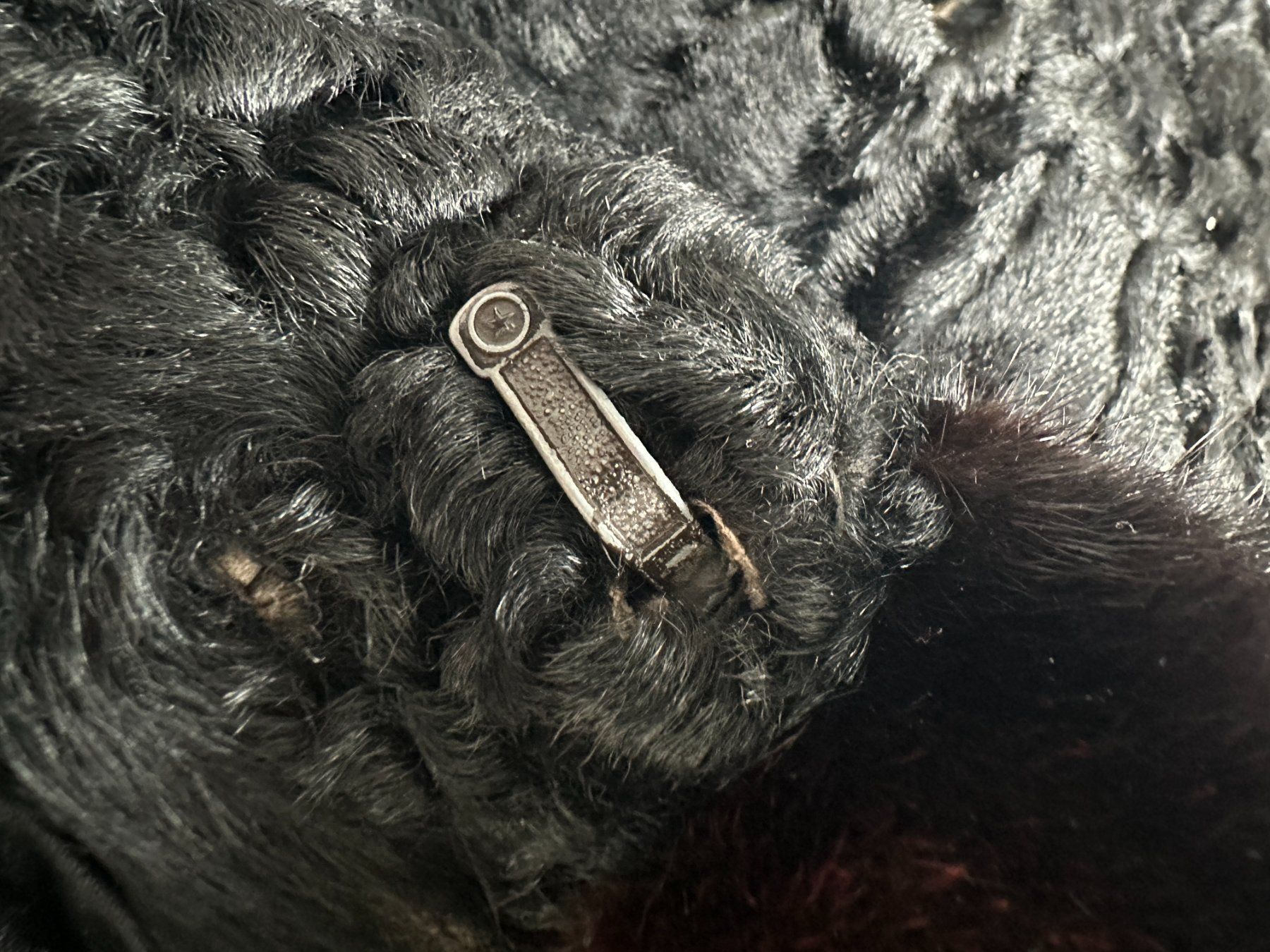 Giacche: Pelzjacke – Usato da Laupen ZH venduto da Mcafi02 4