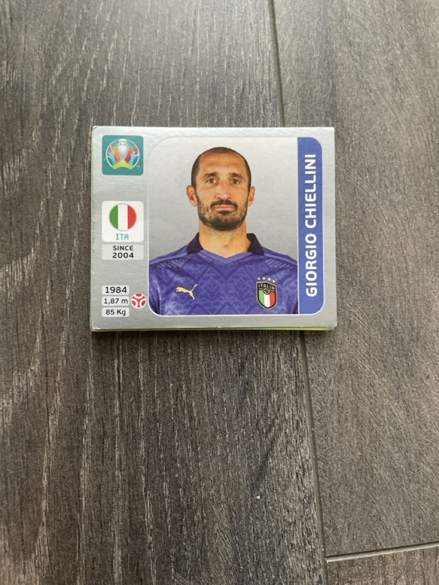 Panini Carte collezionabili: Euro2020 – Usato da Dompierre FR venduto da matmath 2