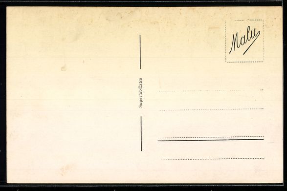 Cartoline postali: AK Lugano, Visto da Paradiso – Usato da Berlin venduto da bartko-reher 1