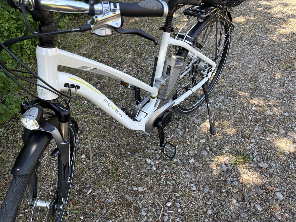Flyer Biciclette: Flyer 45 km/h – Usato da Kleindietwil venduto da her_d77z 8