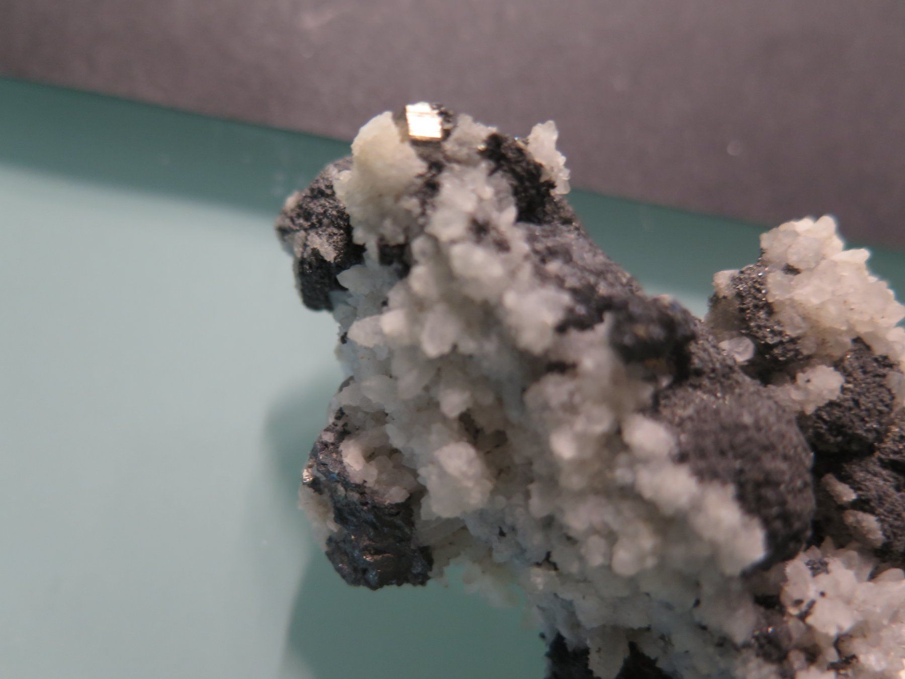 Minerali & Pietre curative: Sphalerit, Pyrit auf Quarz von Rumänien – Usato da Schaffhausen venduto da Yamakana51L8736OQ8 3