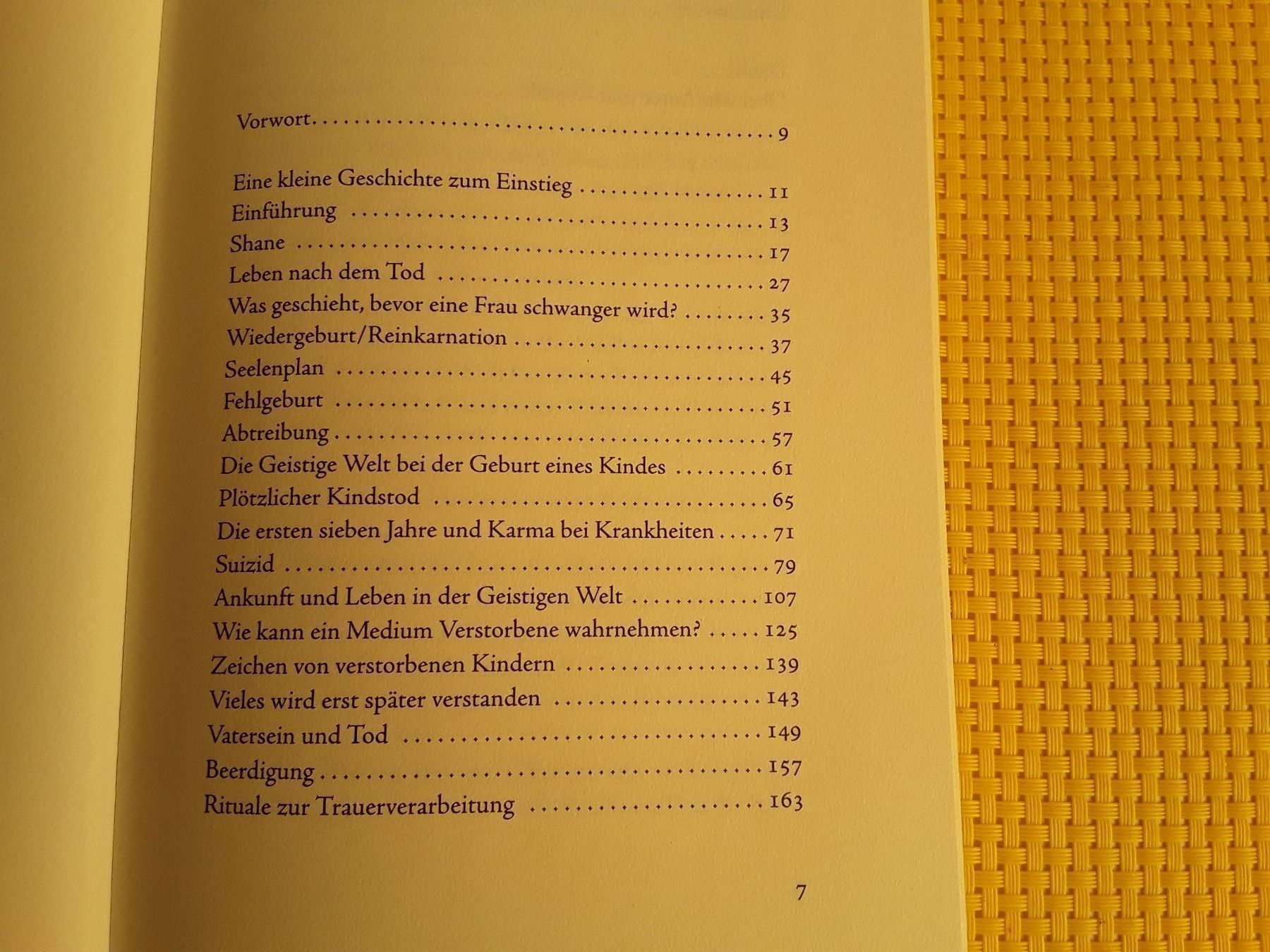 Libri: Kinder in der geistigen Welt – Usato da Rebstein venduto da Buchsi03 2
