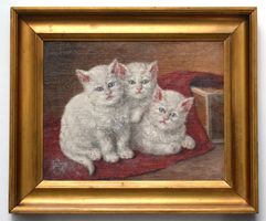 3 Kätzchen sign. Denker Katze Perserkatzen White Blue Eyes