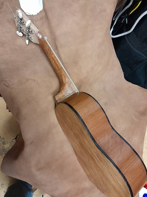 Instruments de musique: Cavalele avec jack – D'occasion à Lausanne par EdwinBOSU 1