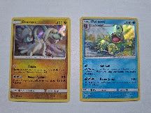 Politoed Holo #25  und  Drampa Holo #97 Guardians Rising