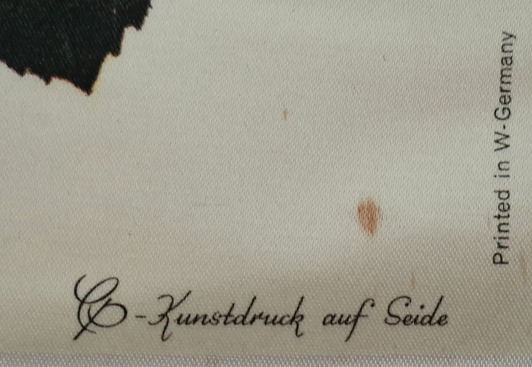 Foto & Immagini: Seidenbild – Usato da Weiningen ZH venduto da nic_5lqm 3