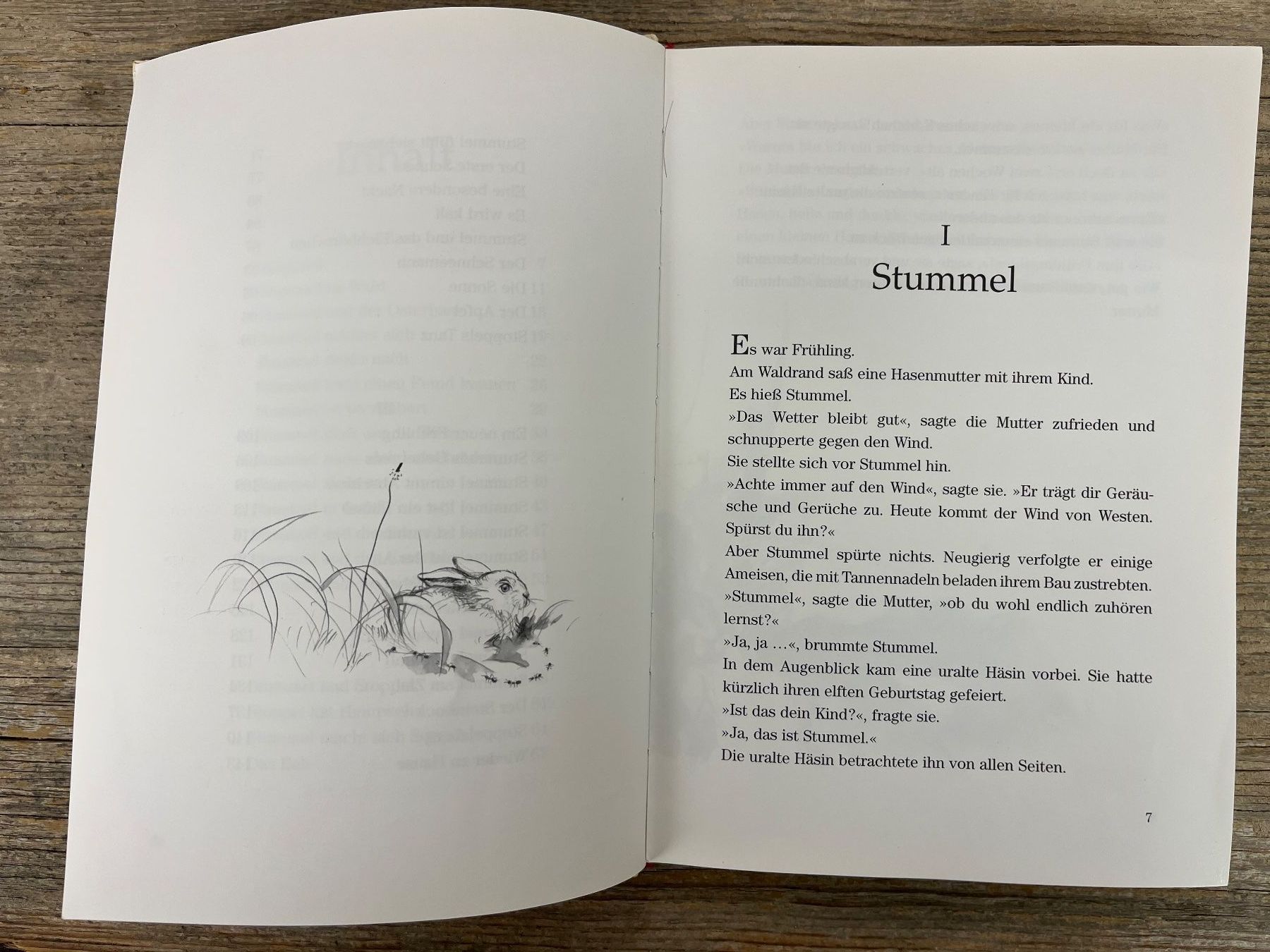 Libri: Vorlesebuch: Stummel ein Hasenkind wird gross, 1. Aufl. 1999 – Usato da Pfäffikon ZH venduto da buresi 2