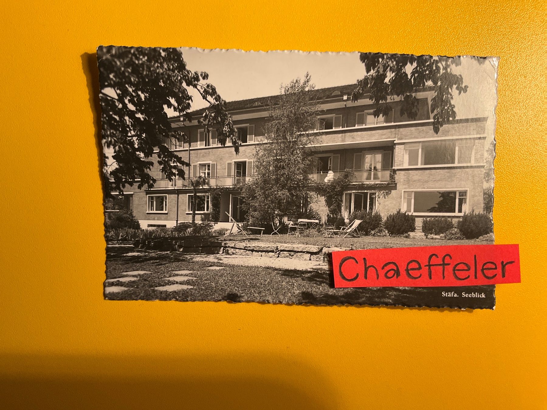 Cartoline postali: 1951 Stäfa, Seeblick – Usato da Zürich venduto da Chaeffeler
