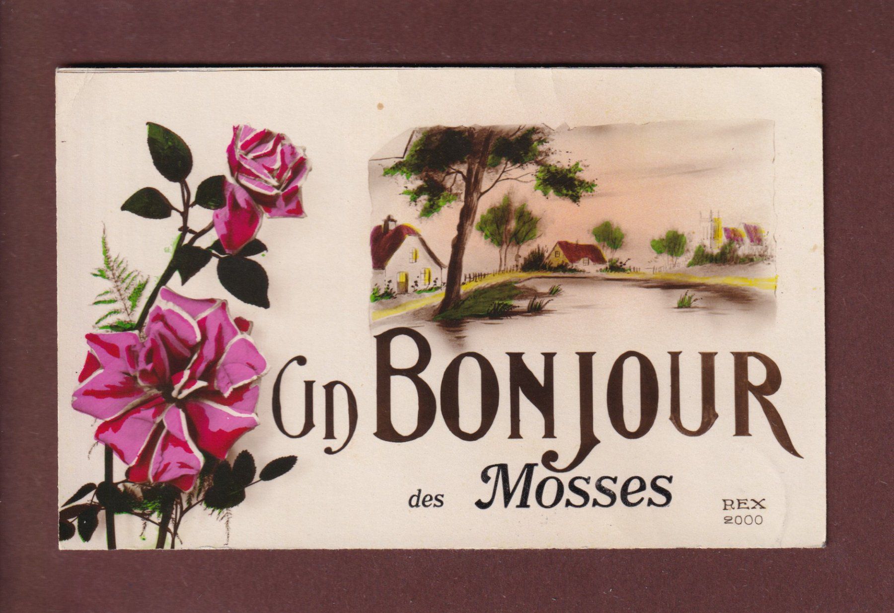 Cartoline postali: Un Bonjour des MOSSES - 1927 – Usato da Pully venduto da nicecards