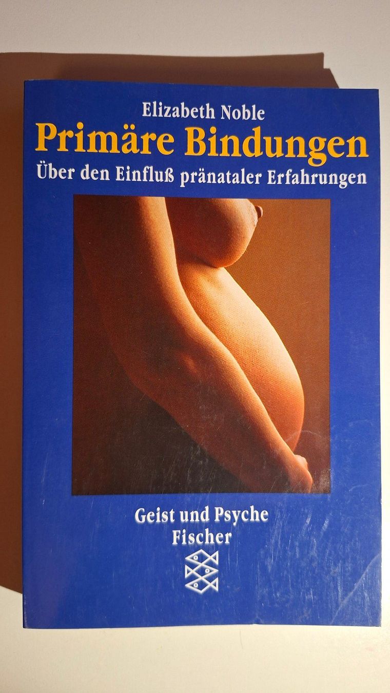 Libri: Elizabeth Noble: Primäre Bindungen – Usato da Dietikon venduto da Buchantiqdietikon
