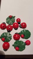 Marienkäfer Kleeblatt coccinelles trèfle