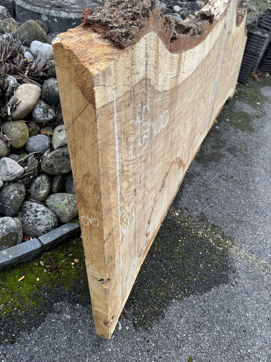 Articoli in legno: XXL - Tischplatte aus einem Stück - massive Baumscheibe – Usato da Gränichen venduto da onkel_xxl 4