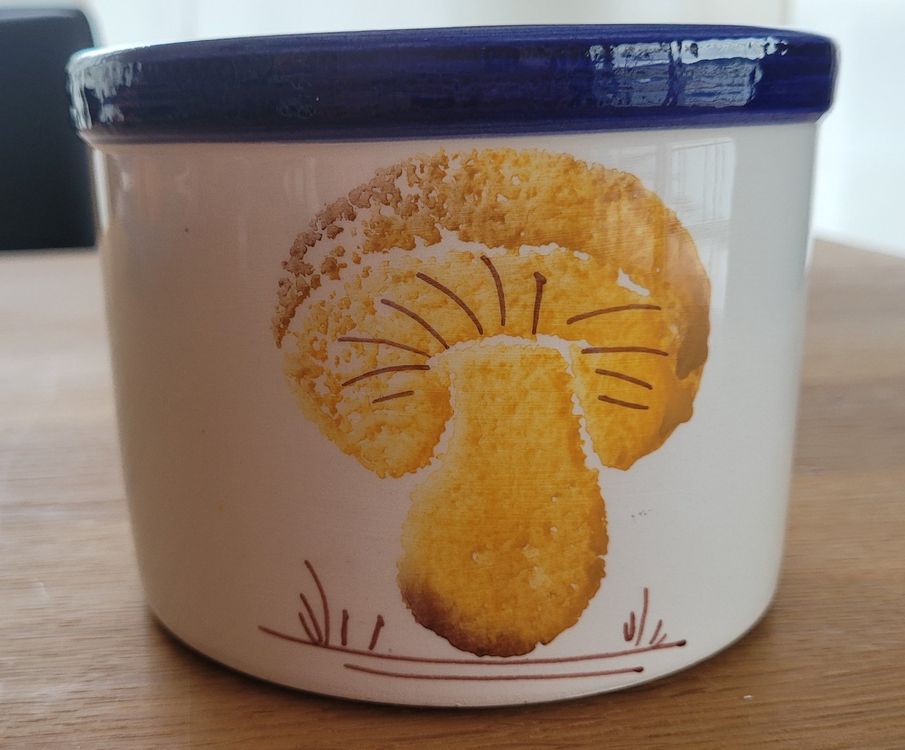 Übertopf für Kräuter, ⌀ ca. 13 cm, H 10 cm Kaufen auf Ricardo