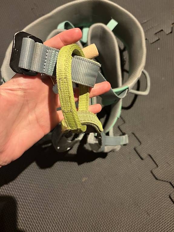 Kletterausrüstungen: Edelrid Sicherungsgurt Grösse L – Gebraucht aus Malans GR von norina2121 1