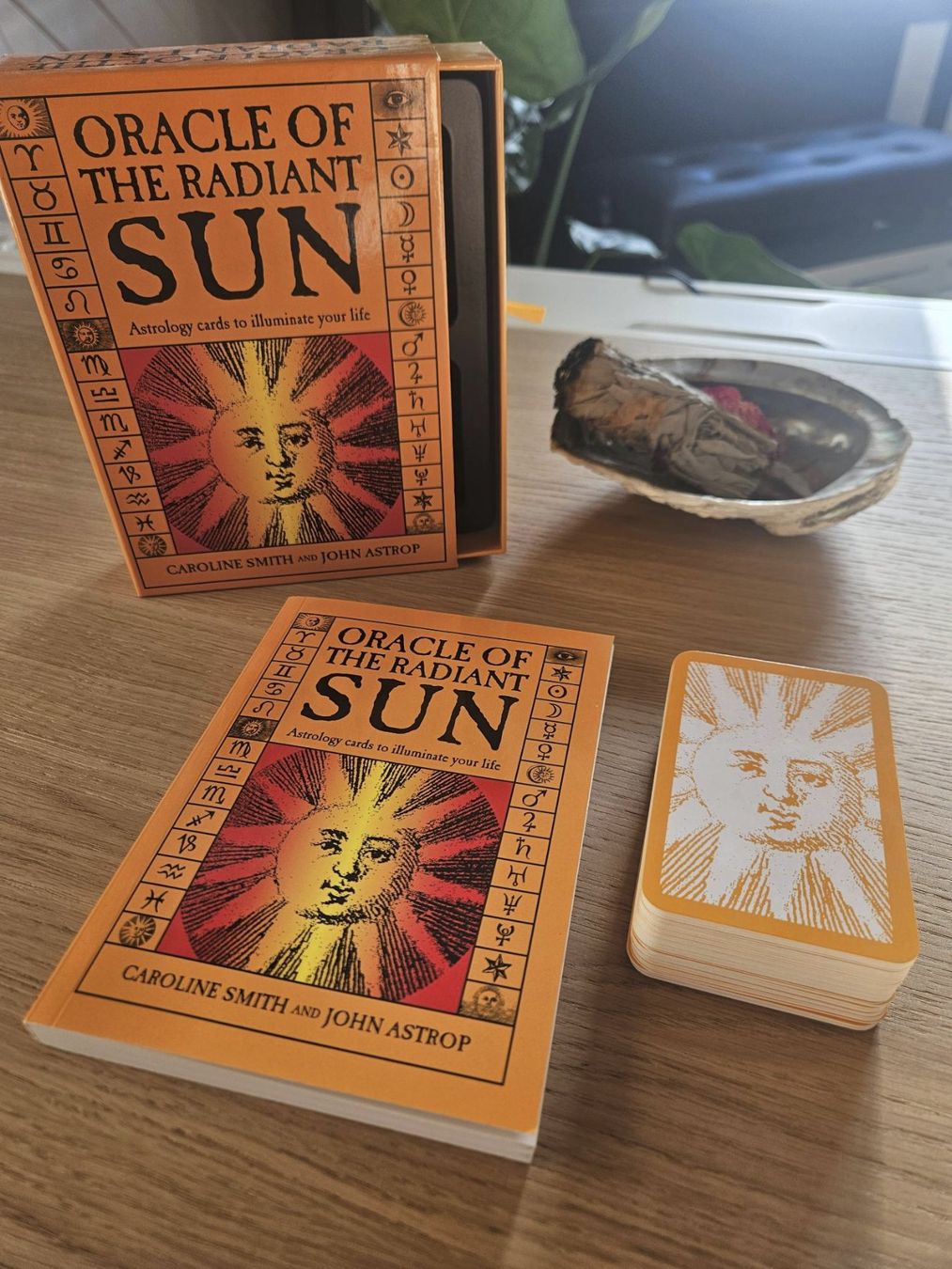 Libri: Oracle of the Radiant Sun – Usato da Nuglar venduto da mjc_cw9f 1