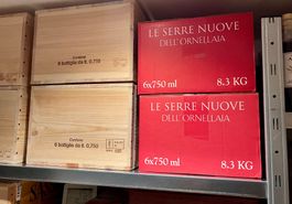 6 Serre Nuove 2019