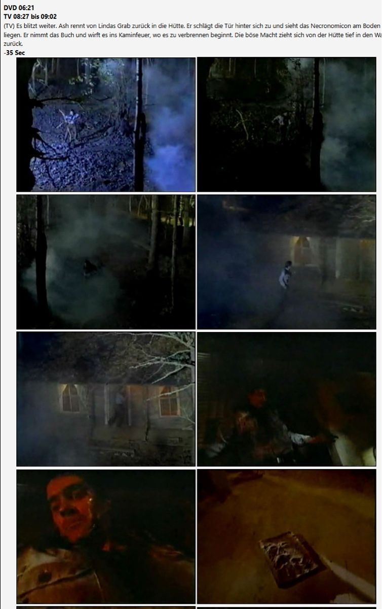 Tutti i DVDs: Seltene mexikanische TV-cut Version Horror Evil Dead  2 Dvd – Usato da Schlieren venduto da Moviepropde 4