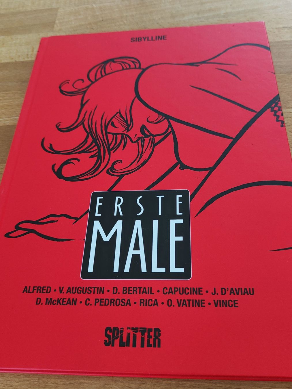 Comics: Erste Male - Erotik Splitter Comic – Neu (gemäss Beschreibung) aus Horw von Areyoureadystev