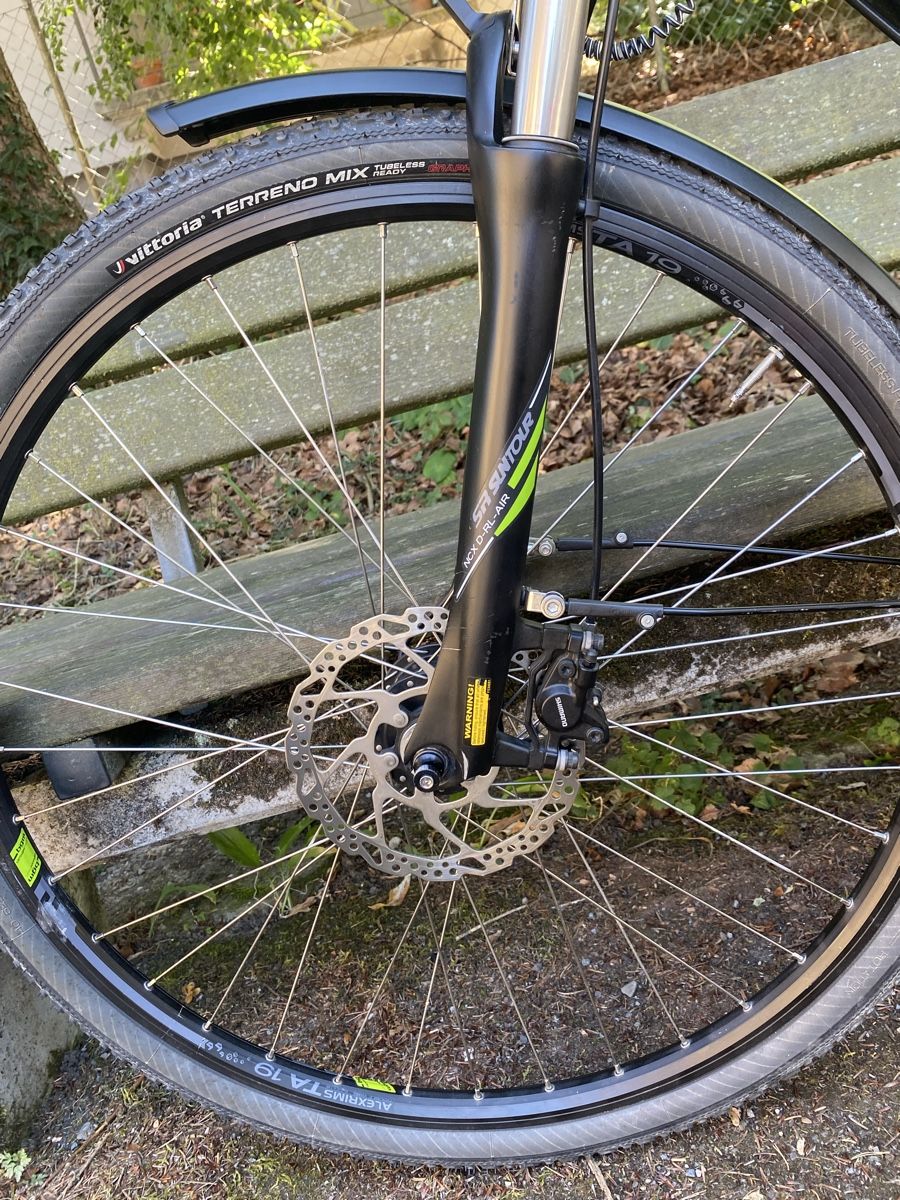 Bergamont Biciclette: BOSCH BERGAMONT E-Line – Usato da Luzern venduto da Goodmorning_16 2