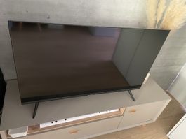 Samsung Fernseher 43“