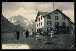 AK Männlichen, Hotel und Jungfrau mit Ziegen