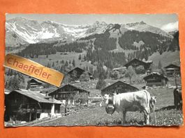 Les Diablerets, Perle des Alpes Vaudoise