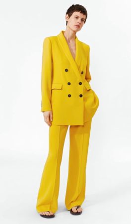 Neu mit Etikette - Blazer Zara, g. L, Preis 139 CHF