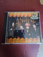 CD - 4 Non Blondes – Bigger, Better, Faster, More! (1992)