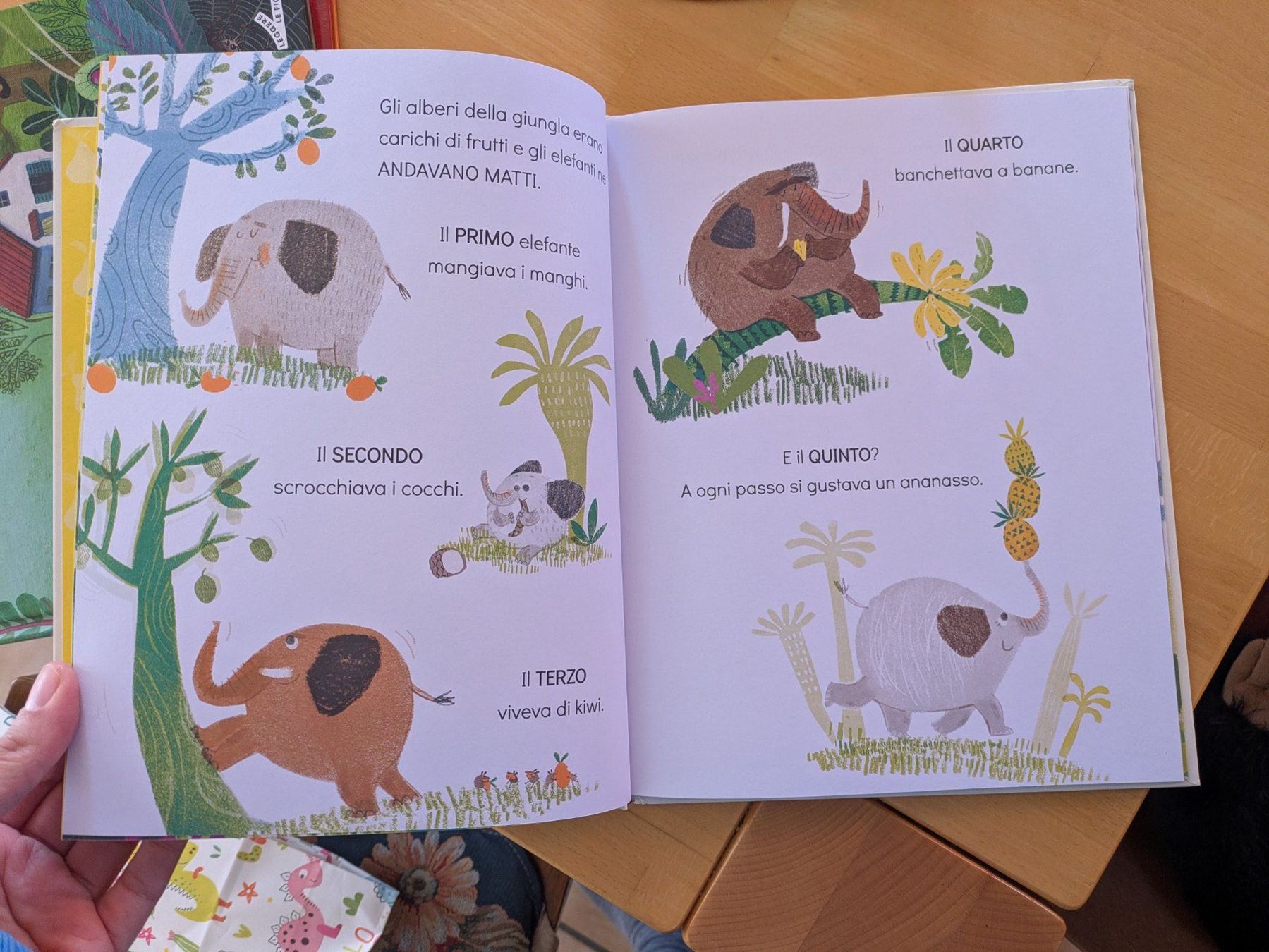 Libri: libro - mio mio mio! – Nuovo (secondo la descrizione) da Matran venduto da Taragor 1