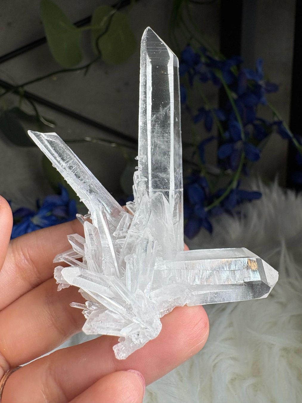 Mineralien & Heilsteine: Kolumbianischer Lemurian-Quarz-Cluster – Neu (gemäss Beschreibung) aus Neuheim von m.hald 6