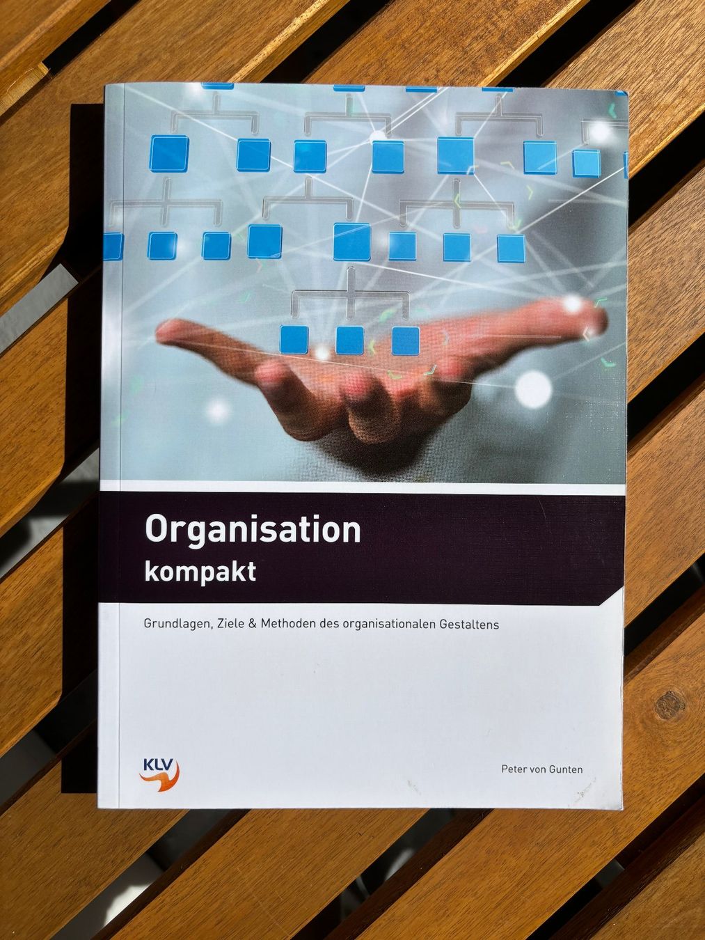 Libri: Organisation kompakt: Grundlagen, Ziele & Methoden – Usato da Rämismühle venduto da RitzmannMarkus