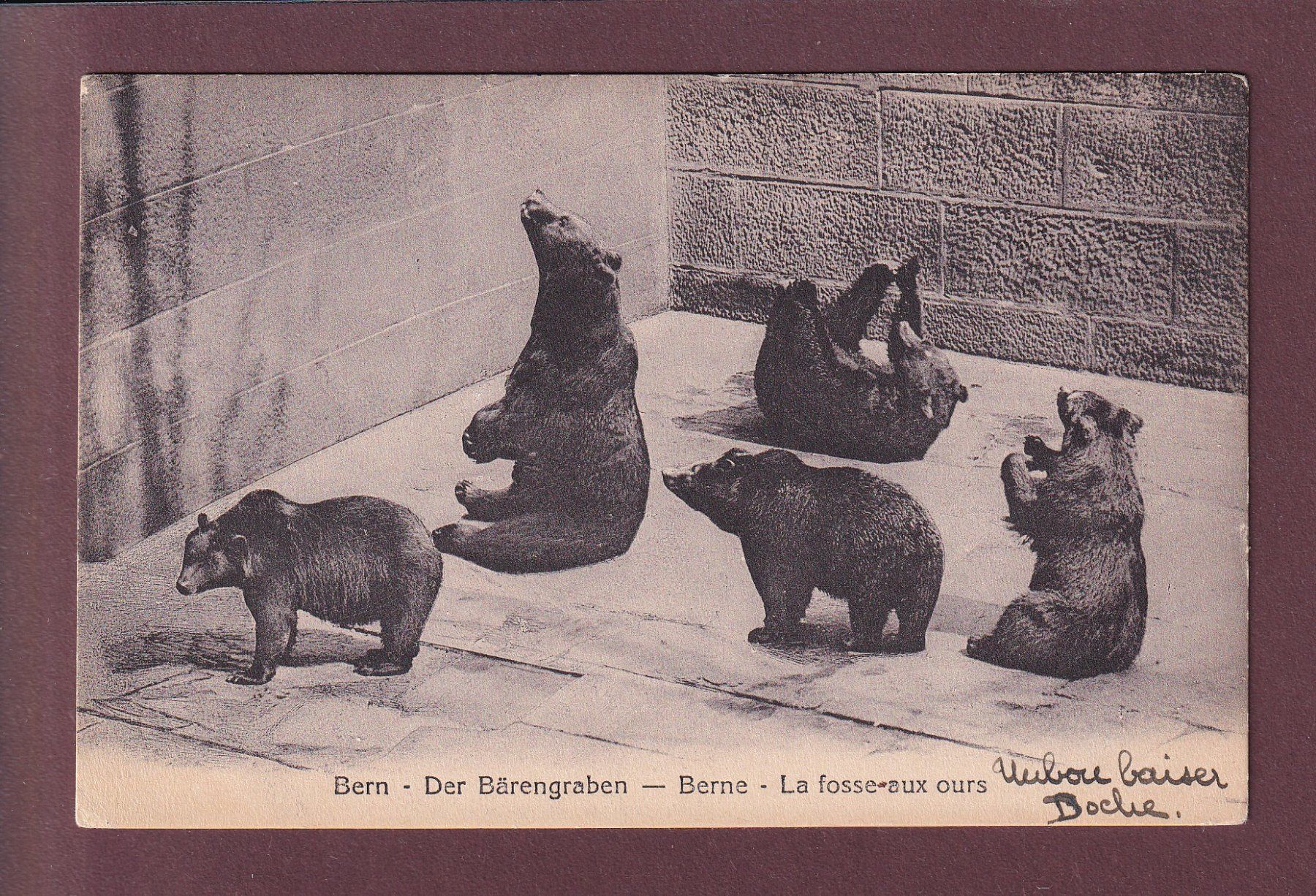 Cartoline postali: BERN - Bärengraben - 1917 – Usato da Pully venduto da nicecards