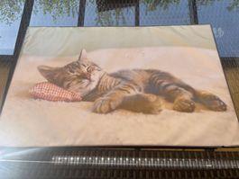 Schreibunterlage mit Katze 67x44cm