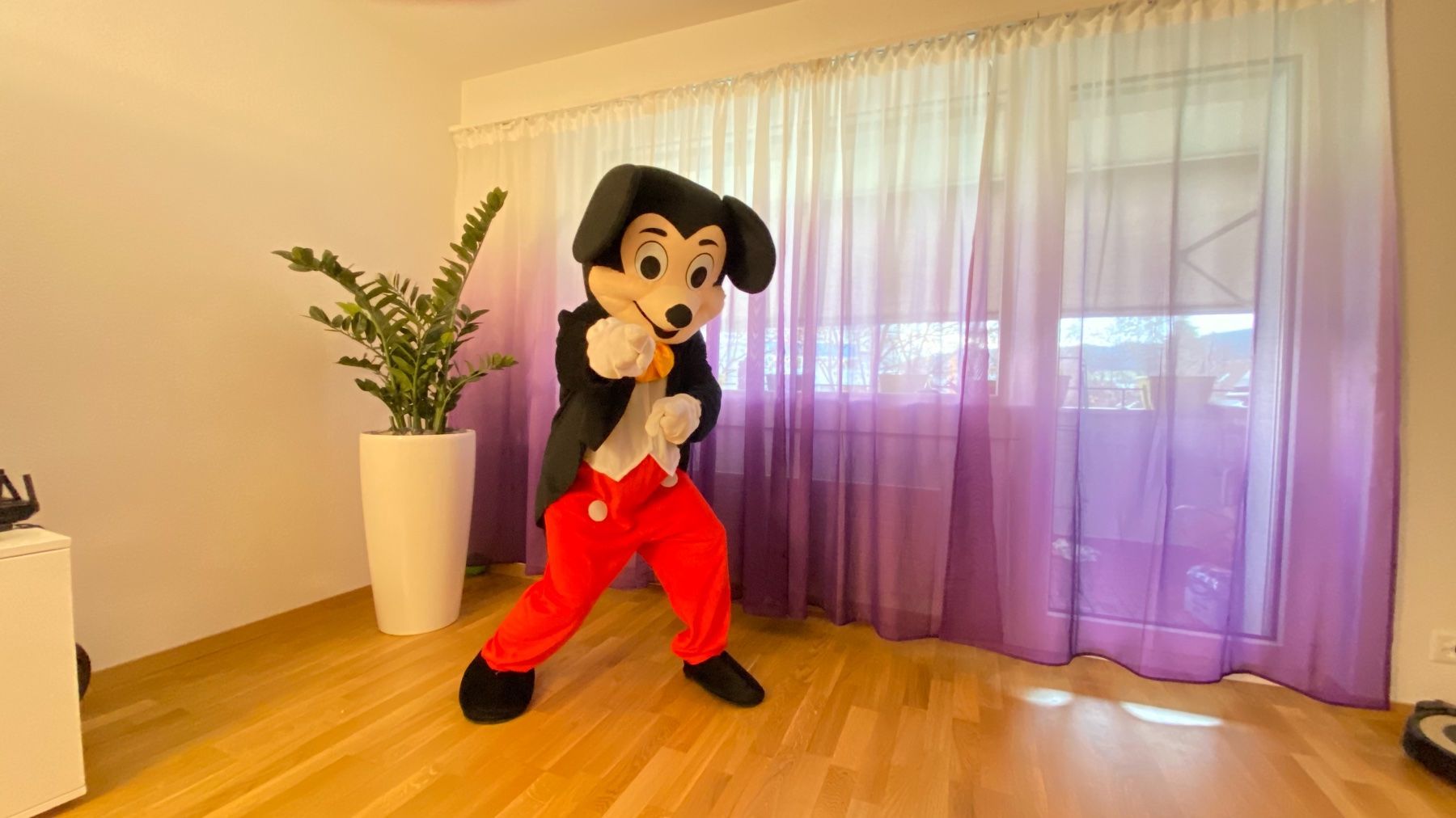 Costumi: Maskottchen Miete 1Woche – Usato da Burgdorf venduto da eins-A