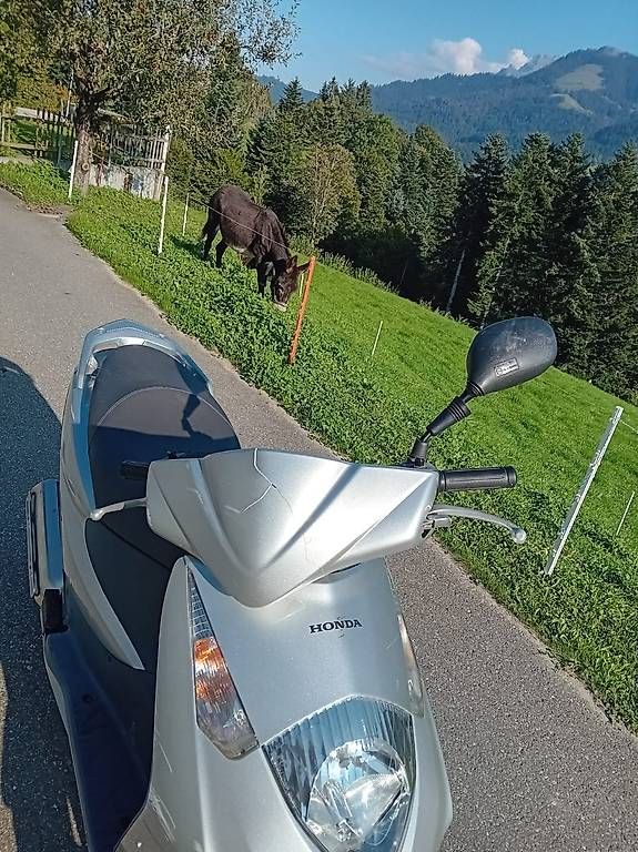 Strasse: Honda SES 125 Dylan – Gebraucht aus Schwarzenberg von 19anbe74 2