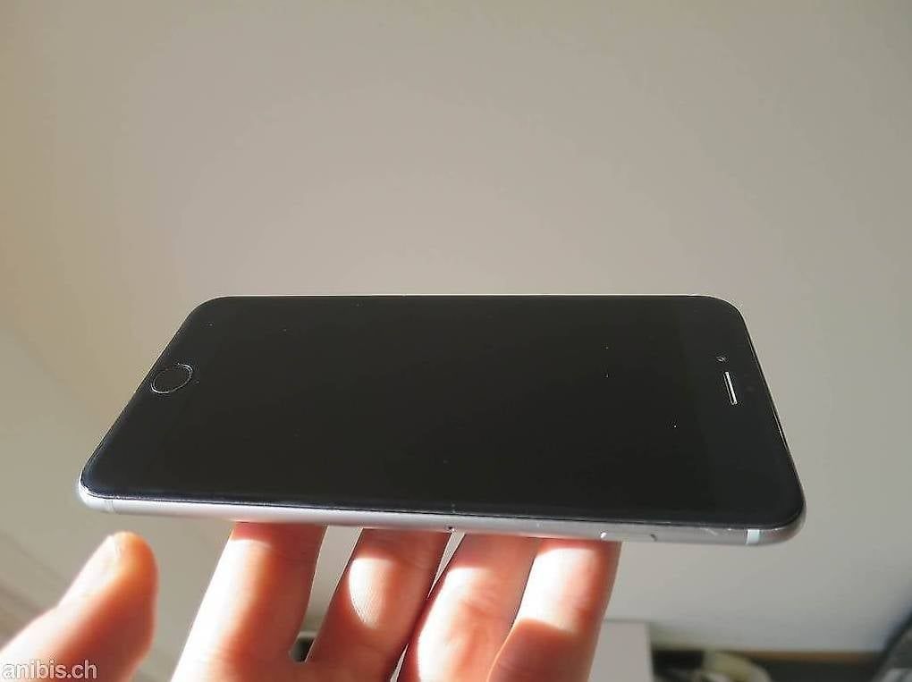 Apple Telefoni cellulari / Smartphones: IPhone 6 Plus, 60 GB – Difettoso da Zürich venduto da axolottchen