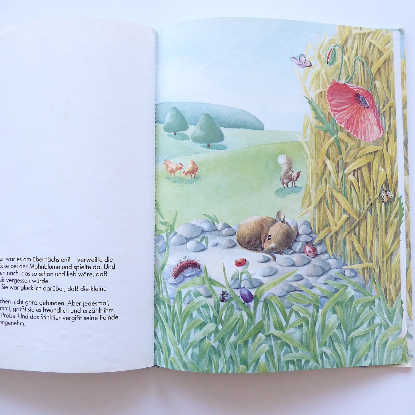 Libri: Die Maus, die an das Gute glaubte – Usato da Basel venduto da Kunterbunt12 5