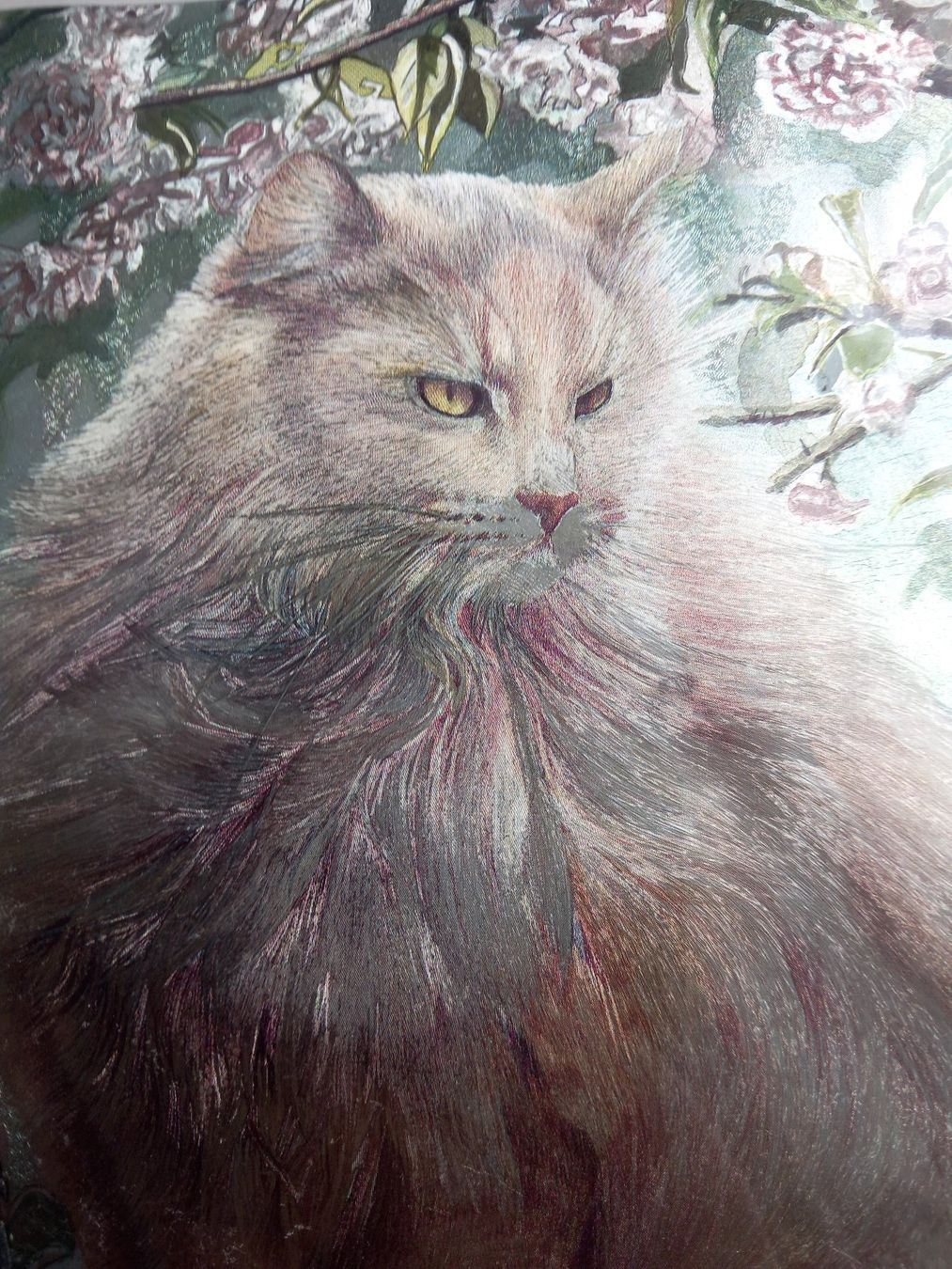 Foto & Immagini: gerahmtes Katzenbild in Perlmutt Optik – Usato da Lindau venduto da san_kg2j 2