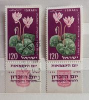 Israel-1x postfrisch/1x gestempelt**mit Tab (2)