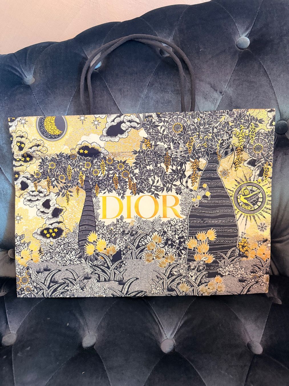 Taschen: Dior Bag – Gebraucht aus Buchs ZH von tiz_9mpn