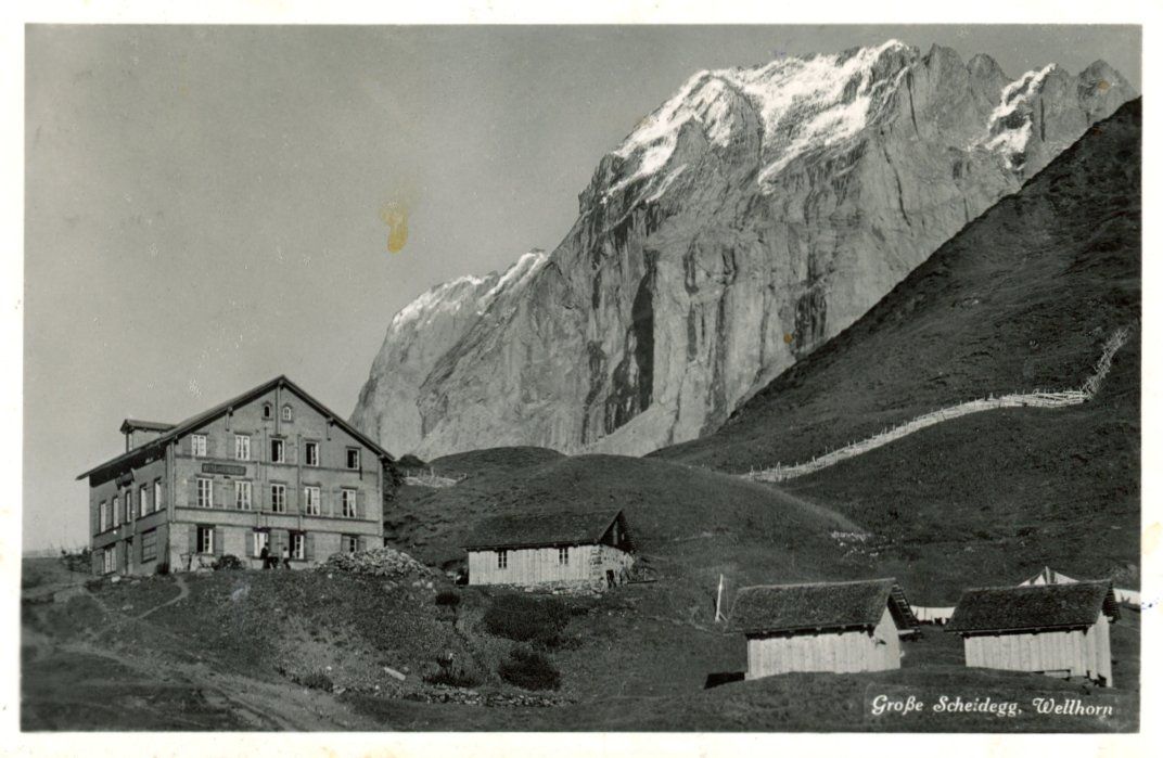 Cartoline postali: Grosse Scheidegg   BE  und Wellhorn – Usato da Brig venduto da Valcards54